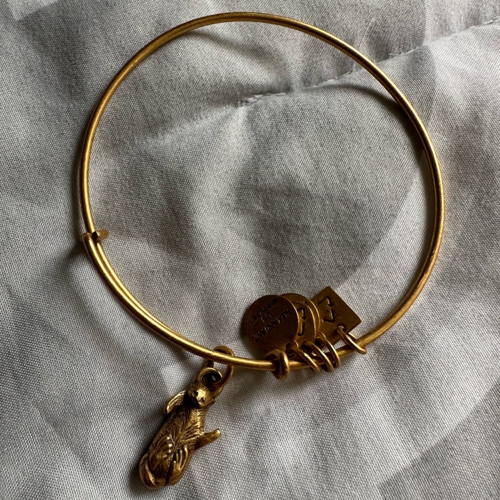 ALEX AND ANI otter bracelet